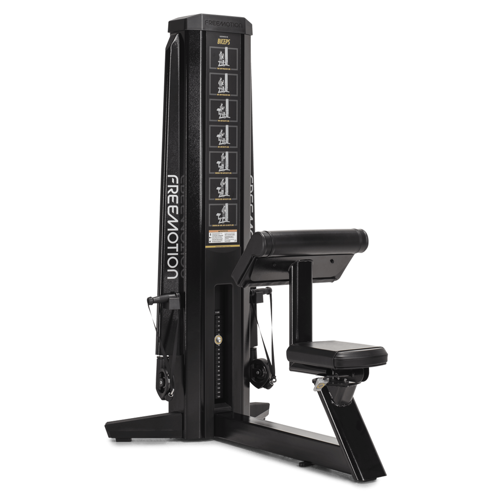 FreeMotion Genesis Biceps